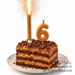 SET BENGALA Y VELA NUMERAL NUMERO 6 CON GIBRE ORO